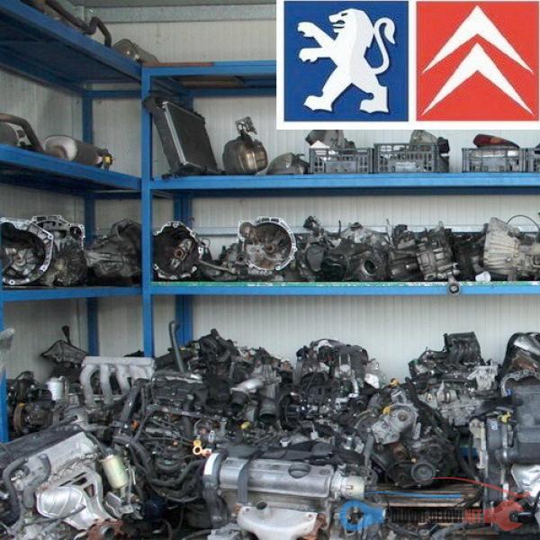 Polovni Delovi Za Peugeot 307 DIZNE Pežo 307 1,6 16V Motor I Delovi Motora